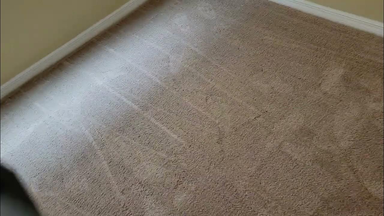 Sebo D4 can't vacuum plush new carpet. Please help YouTube