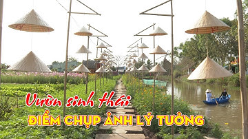 Du lịch sinh thái ở Bạc Liêu | Đất Bạc 1997