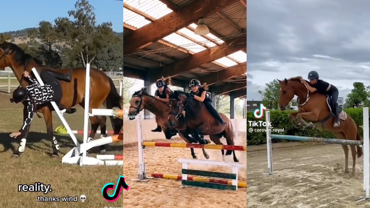 THE BEST HORSE RIDING TIKTOK COMPILATION SHOWJUMPING 2022 #1 - YouTube