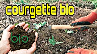 تنعيم التربة  على القرعة(courgette)باستعمال السماد العضوي|| Preparing the ground with compost |