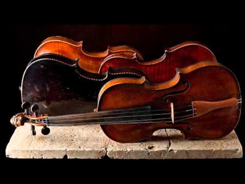 J. Pachelbel: Musicalische Ergoetzung - Partita I for 2 violins & b.c. in F major / L'Estravagante