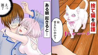 【漫画】陰キャな俺がゴミ捨て場で捨て猫を保護→ある朝、美少女が隣で寝ていた！その後ww（マンガ動画）