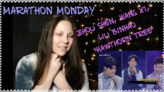 Video thumbnail of "Zhou Shen, Wang Xi, Liu Binhao REACTION (Hawthorne  Tree) Super Vocal"