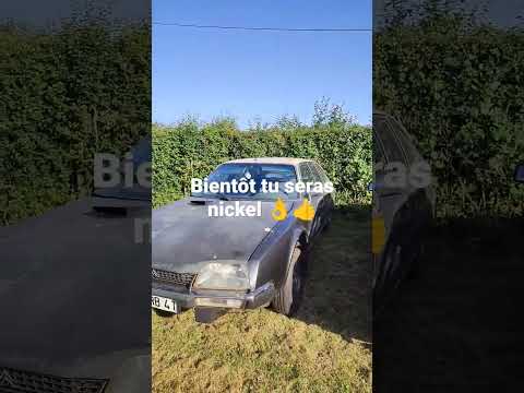 CX 20 tre