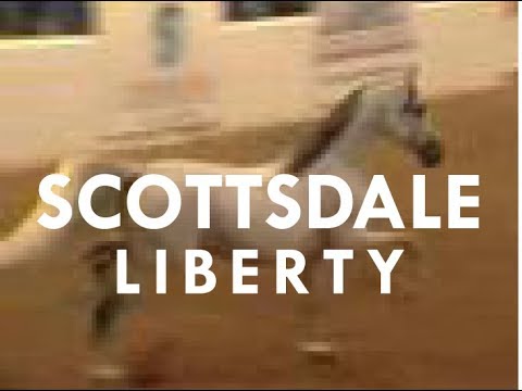 Scottsdale Arabian Horse Show Liberty Finals