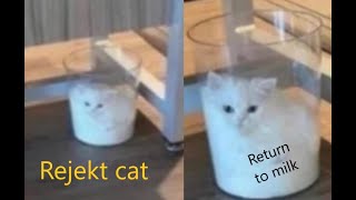 Playing Be A Dad And Get Milk Simulator screenshot 4