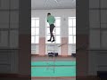 Circus Ladder Stunts