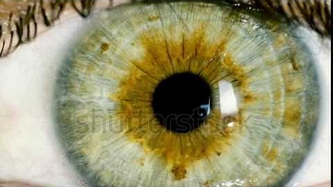 Male hacker working on a computer while green code | Video Footage | Shutterstock