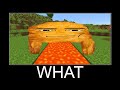 Minecraft WAIT WHAT meme 24/7 Livestream #265