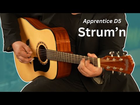 Акустическая гитара WASHBURN AD5, видео 1