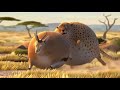 Смешное видео про полных и толстых животных   Прикольный и забавный ролик