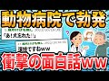 【ほっこり】動物病院での、感動・ほっこり・笑えるエピソード【2ch面白いスレ】