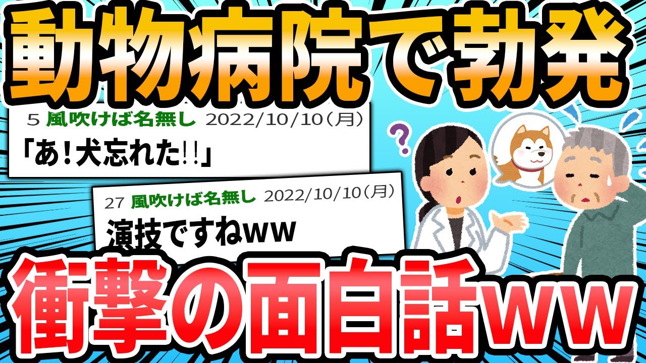 【ほっこり】動物病院での、感動・ほっこり・笑えるエピソード【2ch面白いスレ】