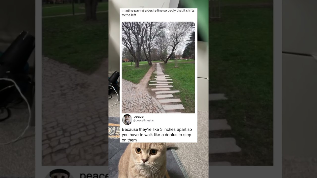 Когда дорога настолько плоха, люди прокладывают новую.