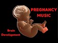 Pregnancy Music for Baby in Womb | Soothing Prenatal Sounds for Relaxation &amp; Sleep *162