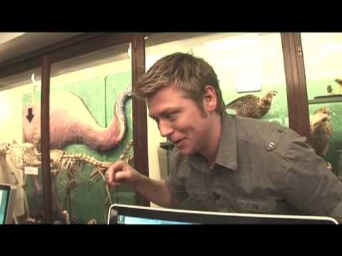 Zebrafish Incredible Science 2009