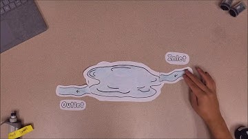 Hydraulic Residence Time and Lake Metabolism