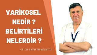 Varikosel Nedir? Belirtileri Nelerdir ?