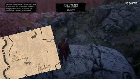 Is there anything special in Guarma RDR2?