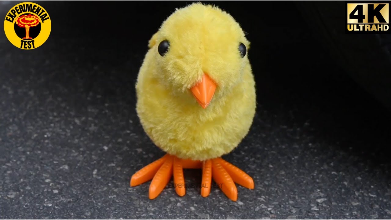 TOP 10 Experiment Car vs Water Balloons | Crushing crunchy & soft things by car | Experimental Test