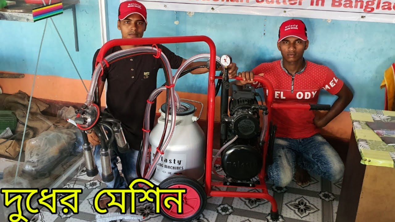 video দুধ দোহানোর মেশিন