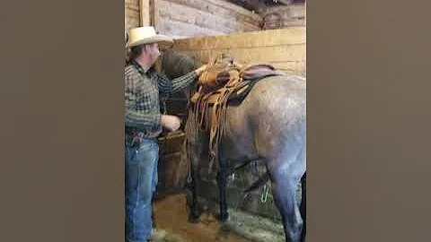 Saddling Smoke