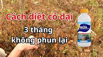 Cách diệt cỏ dại trong vườn, tận gốc và hiệu quả cao