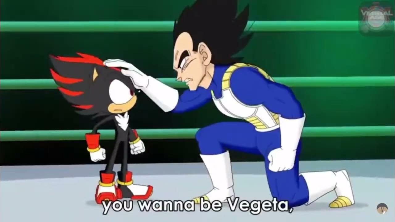 FIRST OF ALL I AM VEGETA SECOND OF ALL YOUR NOT VEGETA THIRD OF ALL YOU WANNA BE VEGETA YouTube