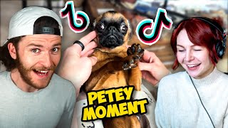 Laughing At Dumb Pets On Tiktok...