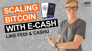 What Is eCash? Fedimints and Cashu Profile