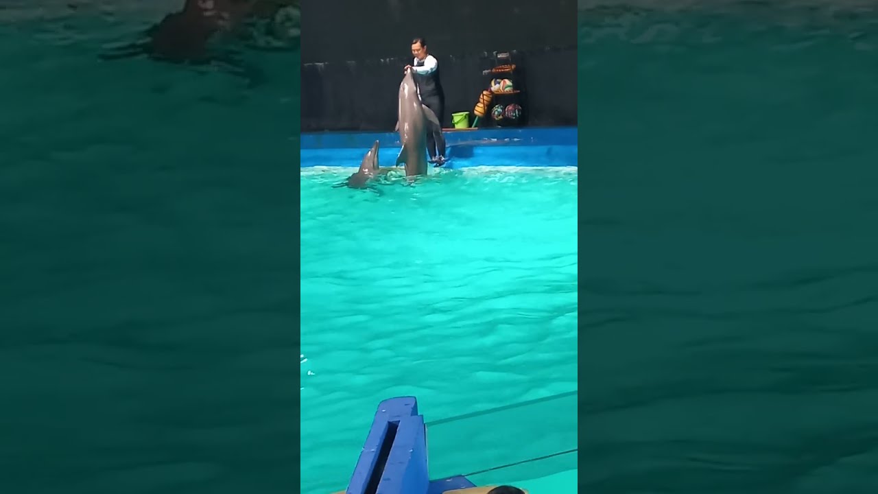 Sirkus lumba² seru @COBABERKREASI