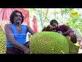 Farm Fresh JACKFRUITS IN Koyambedu RIPE JACK FRUIT How to Cut up  | Health Benefits  Jackfruits