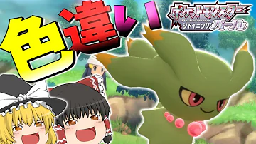 色違い捕まえ方