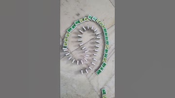 Asmr | Domino Effect Taking Over The Internet #992