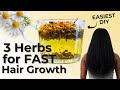 Unlock Natural Hair Growth: Chamomile, Nettle, &amp; Horsetail Secrets!