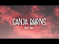 Miniature de la vidéo de la chanson Ganja Burn