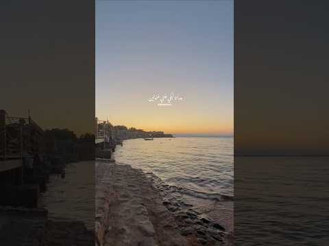 ع الشط أستني رايحه فين خالد الصيفي محمد منير شمندوره حالات واتس روقان الكينج