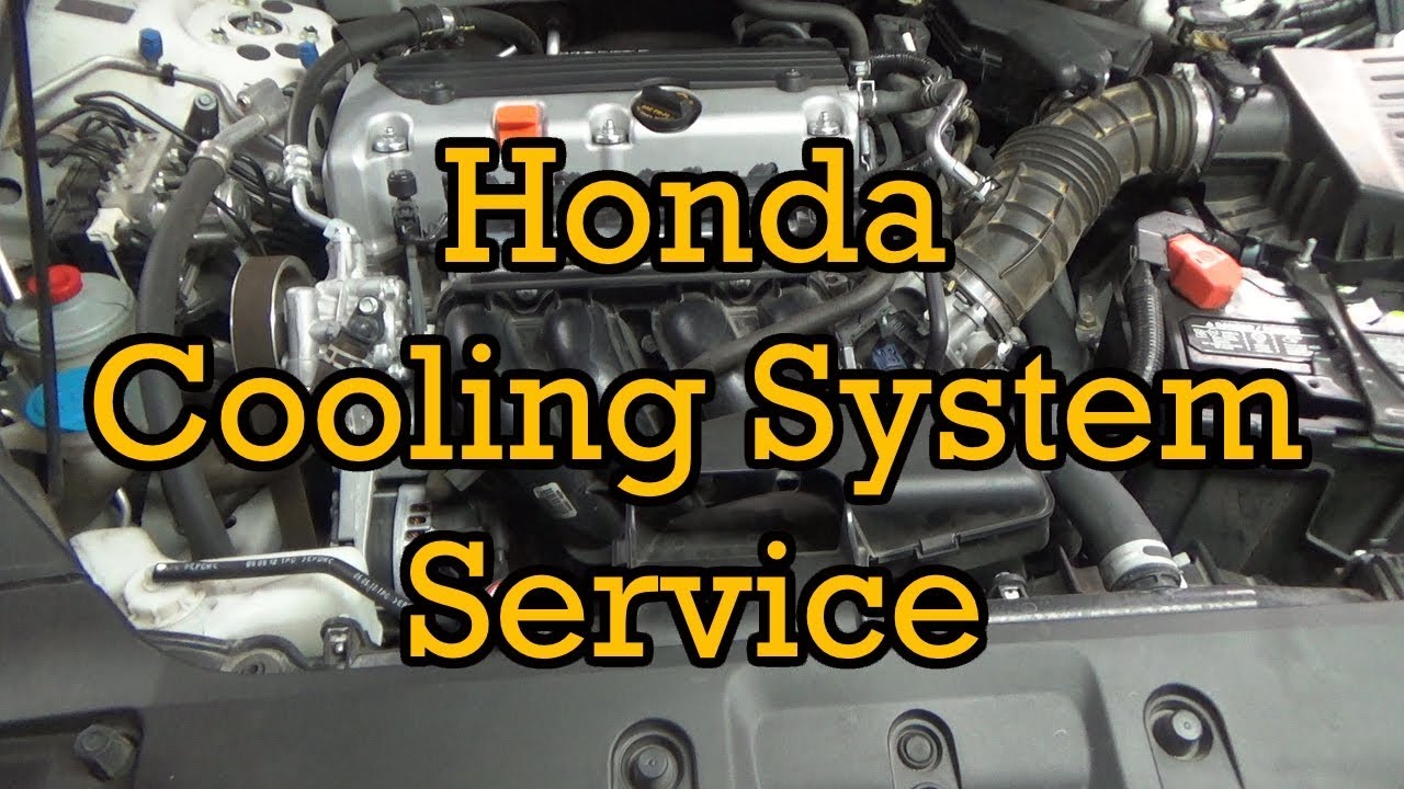 2012 honda civic coolant type