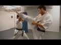 Karate vs. Karate Kyokushin & Traditional - "Graduation" (Eric Jacobus)