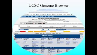 B Advanced Bioinformatics, 27 Sep 2025, Part 2