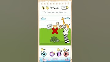 tortoise must win the race level 208: Brain Test