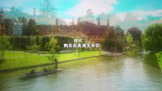 再别康桥led舞台大屏背景视频示范视频