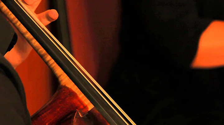 Humoresque - Viva la Strings violin/cello/gui...  trio