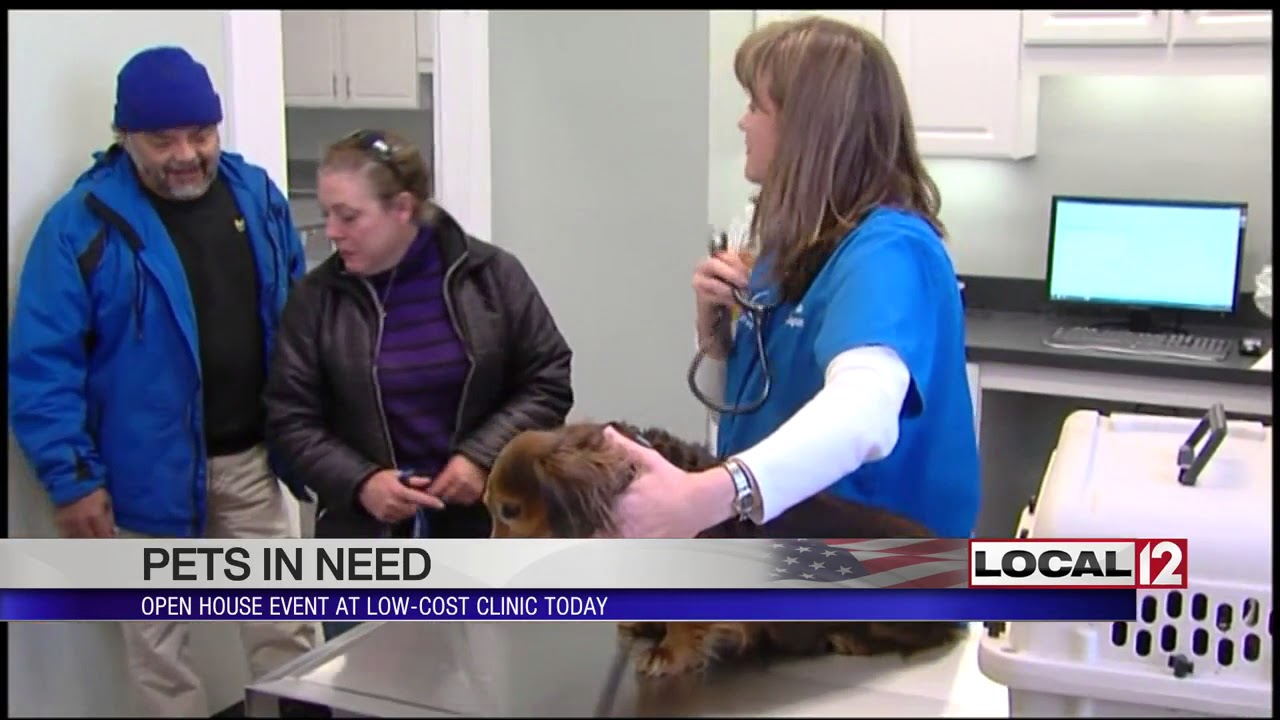 Low cost Veterinary Care Clinic Hosts Open House Sunday YouTube Low cost Veterinary Care Clinic Hosts Open House Sunday YouTube