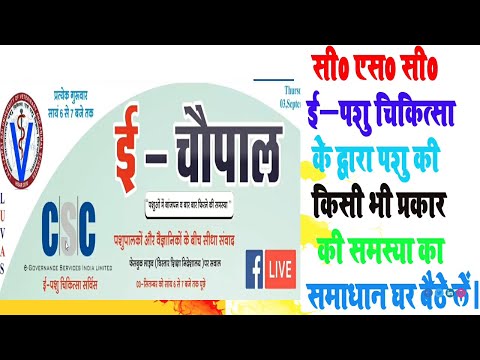 CSC E-Pashu Chikitsa Kya Hai | Animals Dieses Related All Solutions Given By CSC E-Pashu Chikitsa |