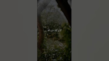 الم تر كيف ضرب الله مثلا | محمد صديق المنشاوي | سورة ابراهيم