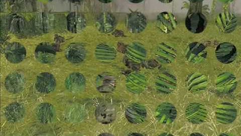 Arma II Jungle Rampage part 3