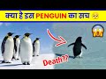 Why Is This Penguin Video Going Viral? 🐧
