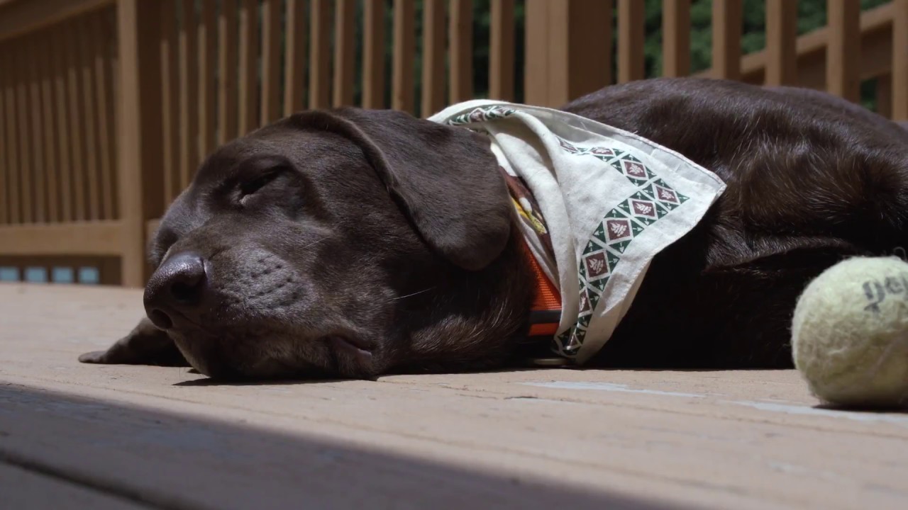Stony Fork Creek Campground