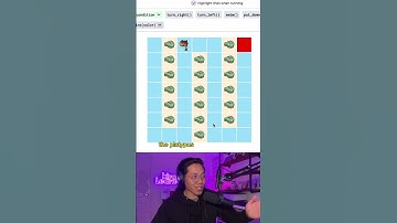 Can you solve this platypus challenge? 👀 #stem #python #softwareengineering #computerscience